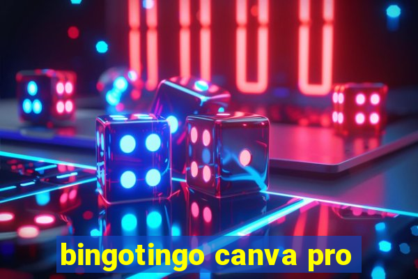 bingotingo canva pro