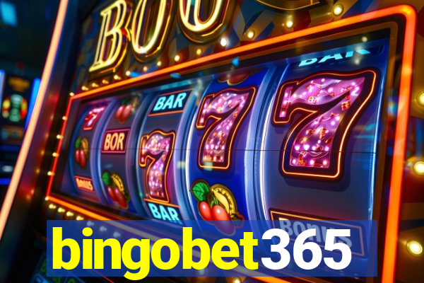 bingobet365